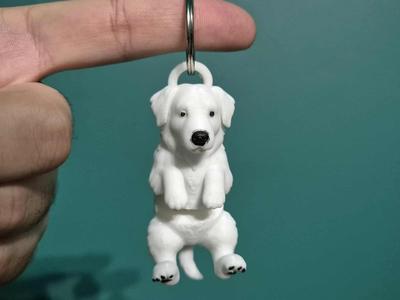 Polish Tatra Sheepdog / Owczarek Podhalanski 