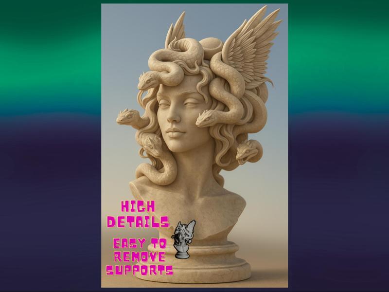 Medusa head for display