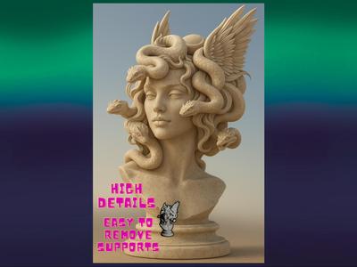 Medusa head for display