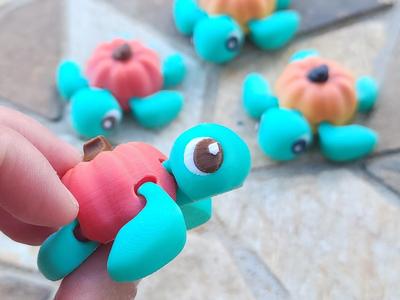 Baby Pumpkin Turtle Flexi