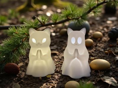 Spirit of Light Cat
