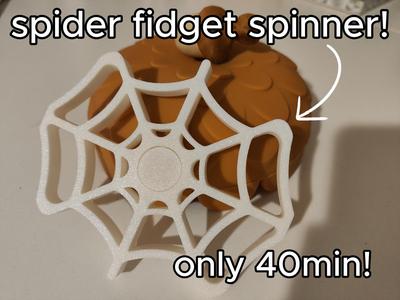 Spiderweb Fidget spinner