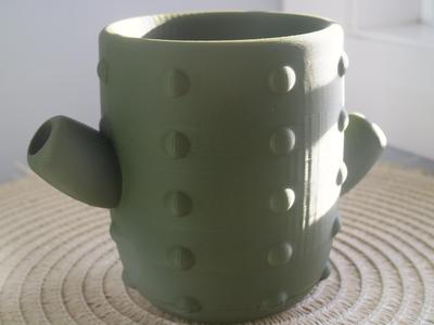 Cactus Plant Pot