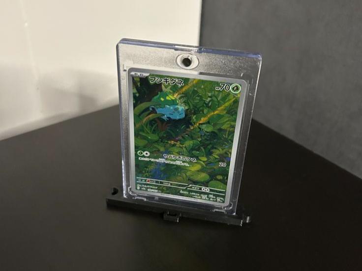 Display holder (chainable)