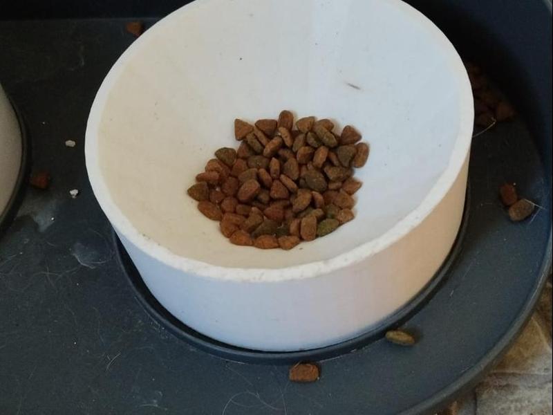 Food bowl for dogs and cats, scalable