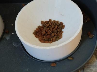 Food bowl for dogs and cats, scalable