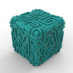 Maze Box