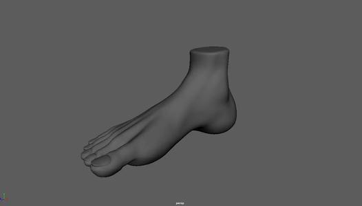 Feet 3D sculp