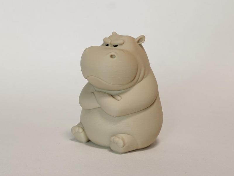 Grumpy Hippo