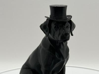 Black Lab with top hat