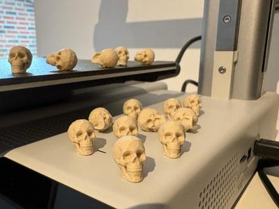 LowPoly Mini Skulls