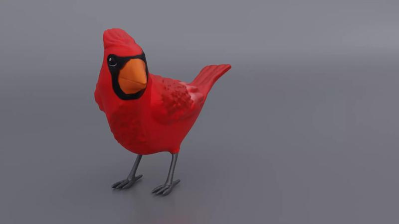 Cardinal bird