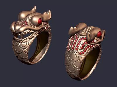 The Legend of the Naga Dragon Ring
