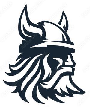 Nordic viking logo