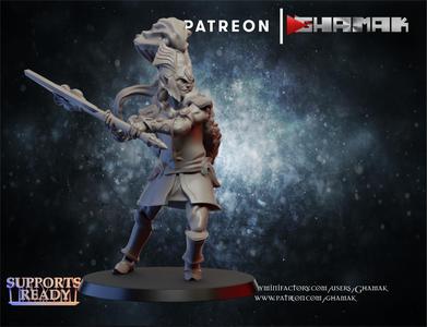 High Elf warrior lion 2 support ready