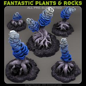 OUTER WORLDS MANGROVE