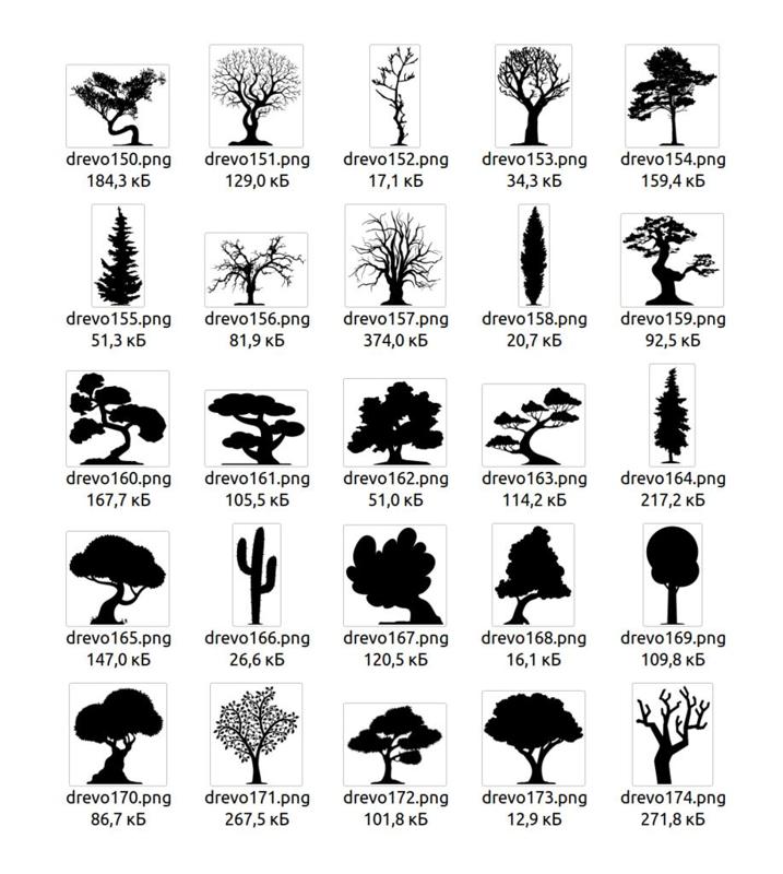 Tree (4)