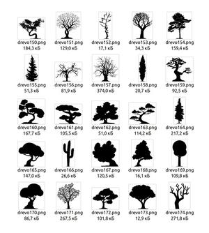 Tree (4)