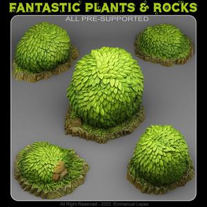 GREEN ROUND BUSH