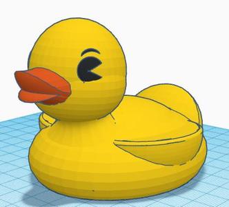 Duck