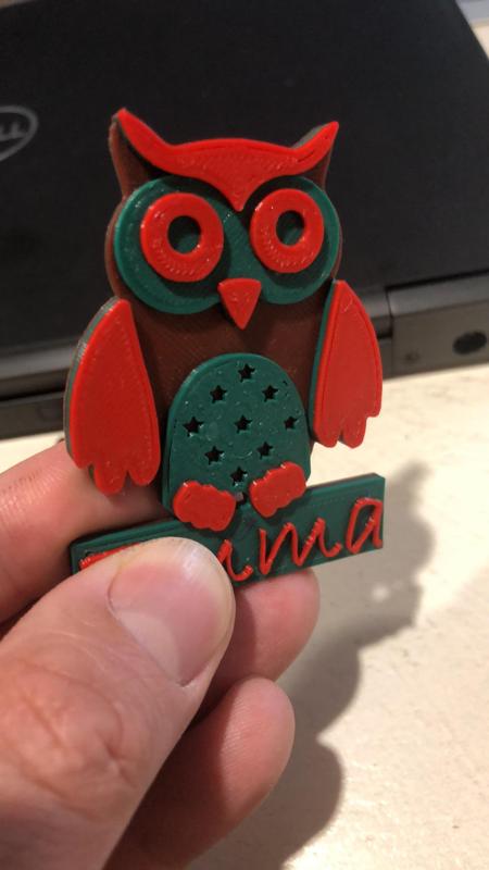 Little Owl with editable name