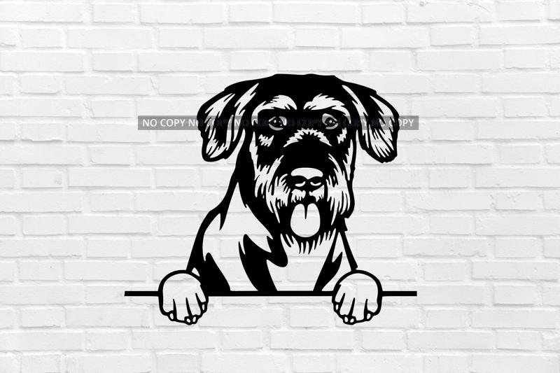 wall decoration giant Schnauzer dog