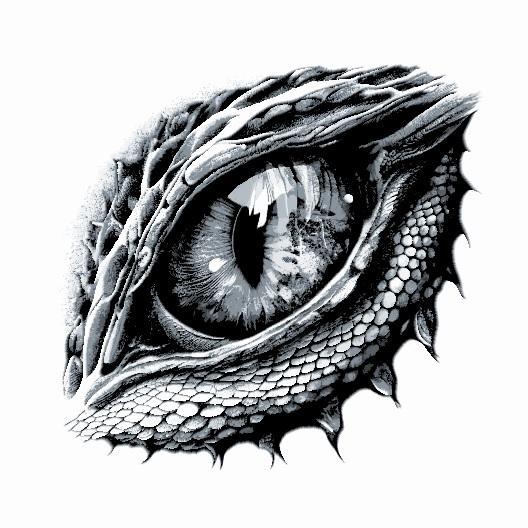 HueForge - Dragon Eye - Grayscale