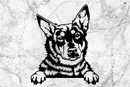 australian kelpie dog wall decoration wall decoration pet dog deco wall house realistic pet