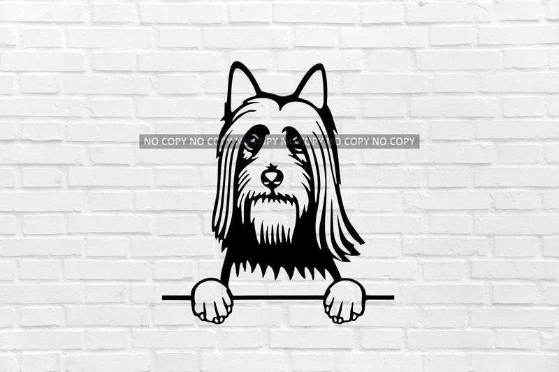 silky-haired australian terrier dog wall decoration