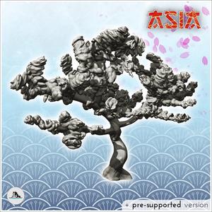 Sakura tree (2) - Asian Asia Oriental Angkor Traditionnal Corea Cherry blossom Yoshino Japanese Flower