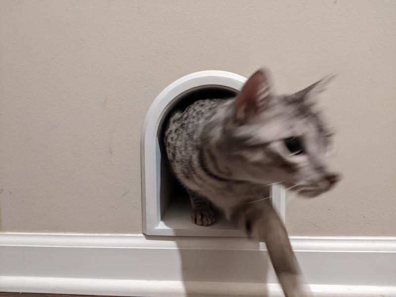 LitterBox Cat Portal through wall Passthrough - Keep that litterbox out of the house!