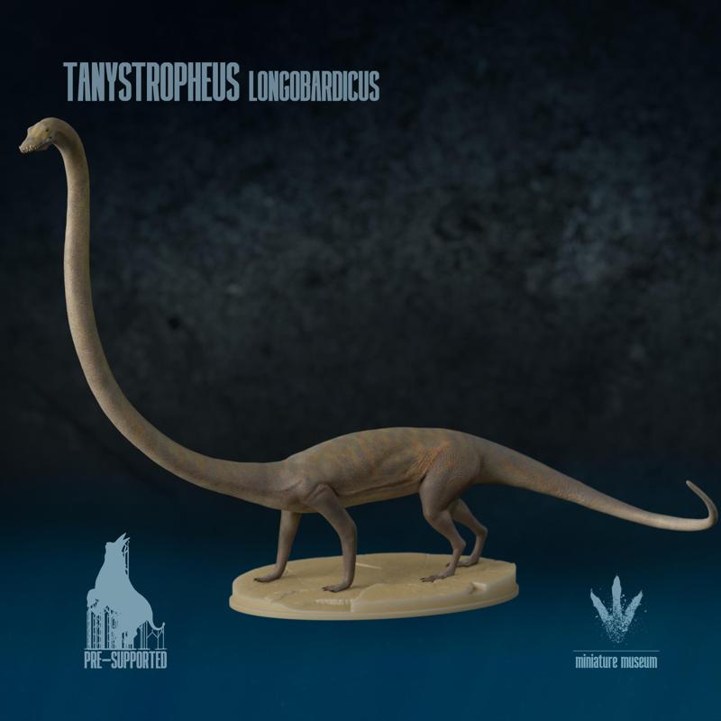 Tanystropheus longobardicus: The Long necked Reptile