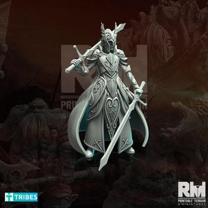 Frost Elf Blade Warden