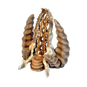 Throne of dragon bones