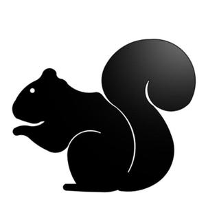 Squirrel wall art 3