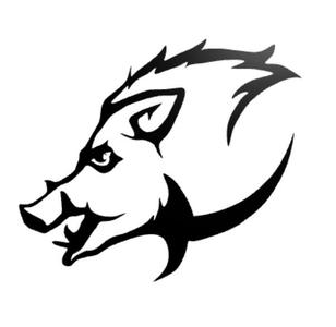 Wild boar wall decor 2