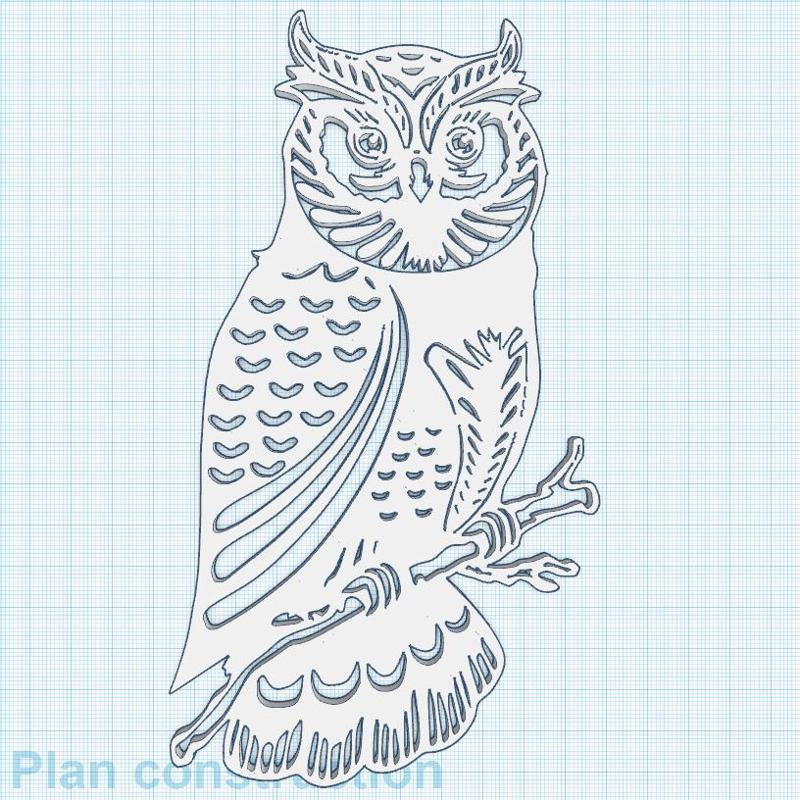 Long-eared owl