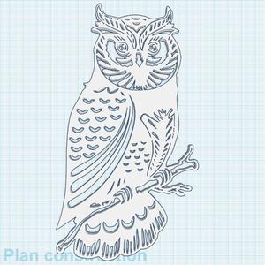 Long-eared owl