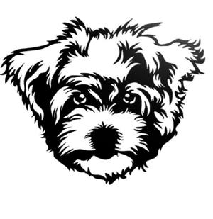 Havanese Dog Wall Decor