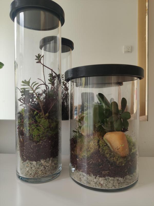 Sealed Jar Garden (Flaschengarten): lids for IKEA Cylinder vases