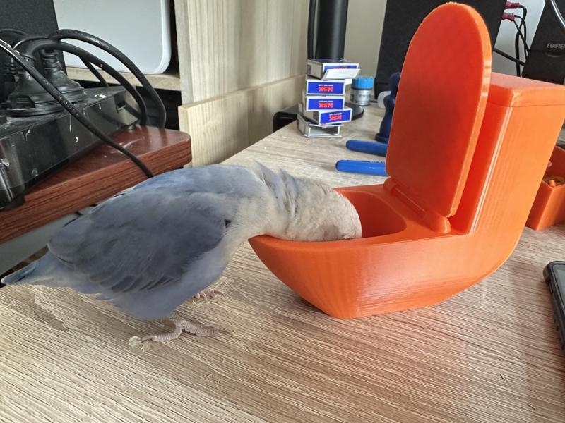 miniature toilet-shaped bird feeder