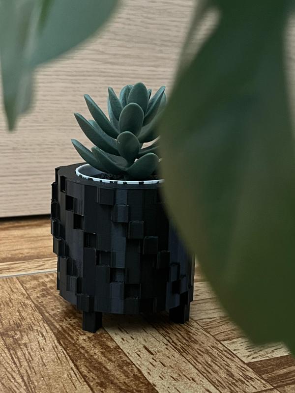 Simple plant holder/stand