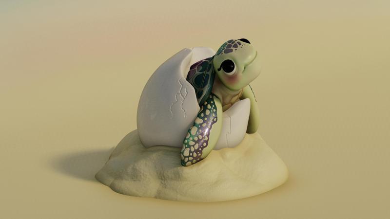 Baby Turtle