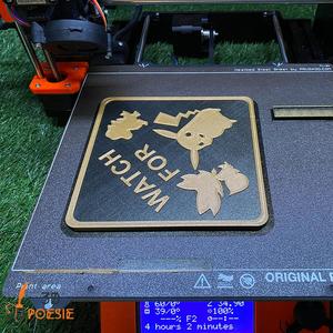 Watch for Pokemon Schild