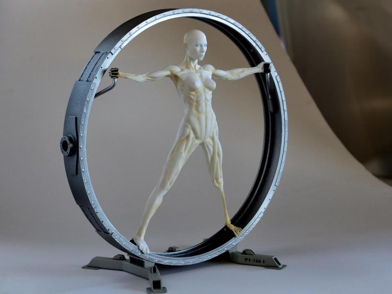 Vitruvian Host (Westworld)