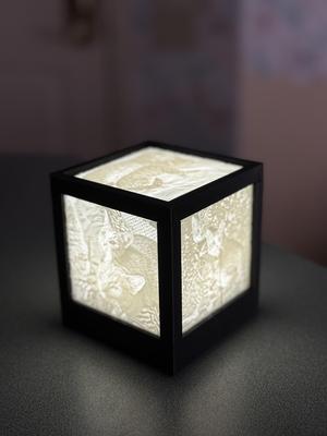 Lithophane Cube