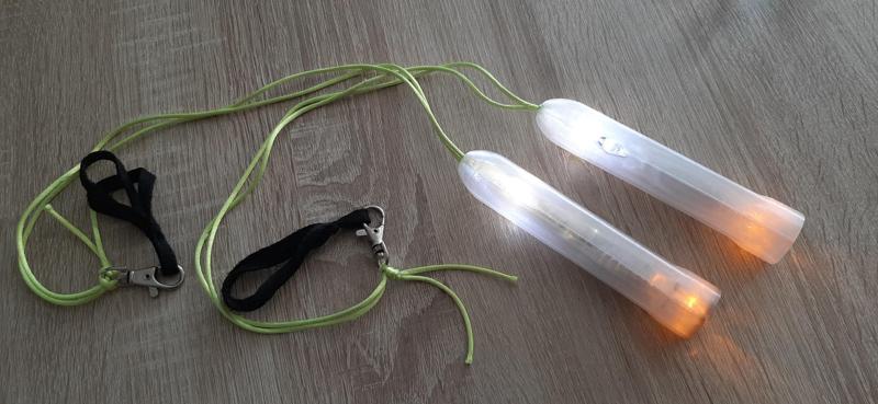 Poi Protection Case (Flowlights)