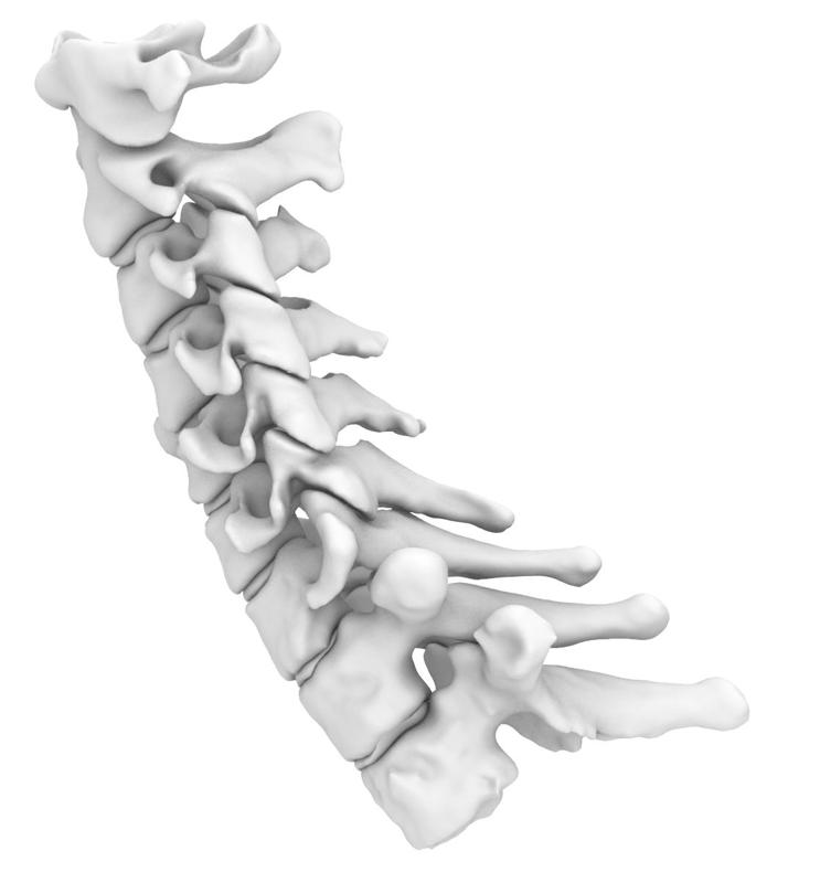 Rigid Spine