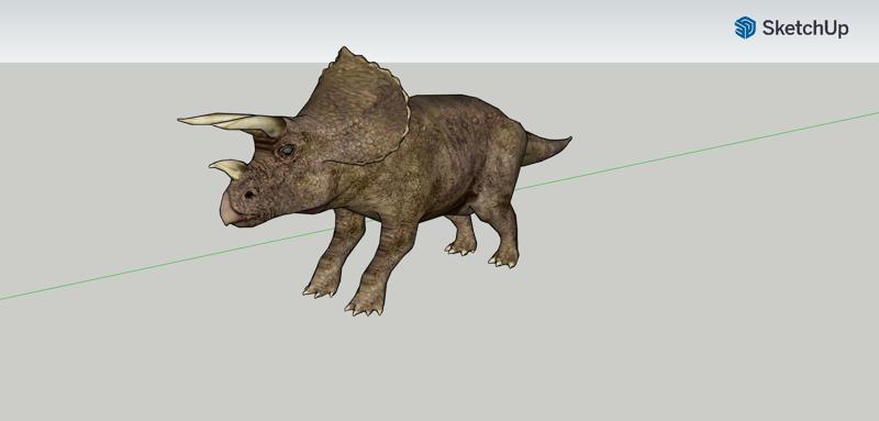 Triceratops
