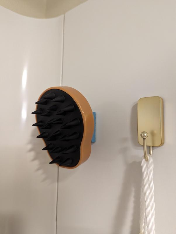 Shampoo Brush Mount